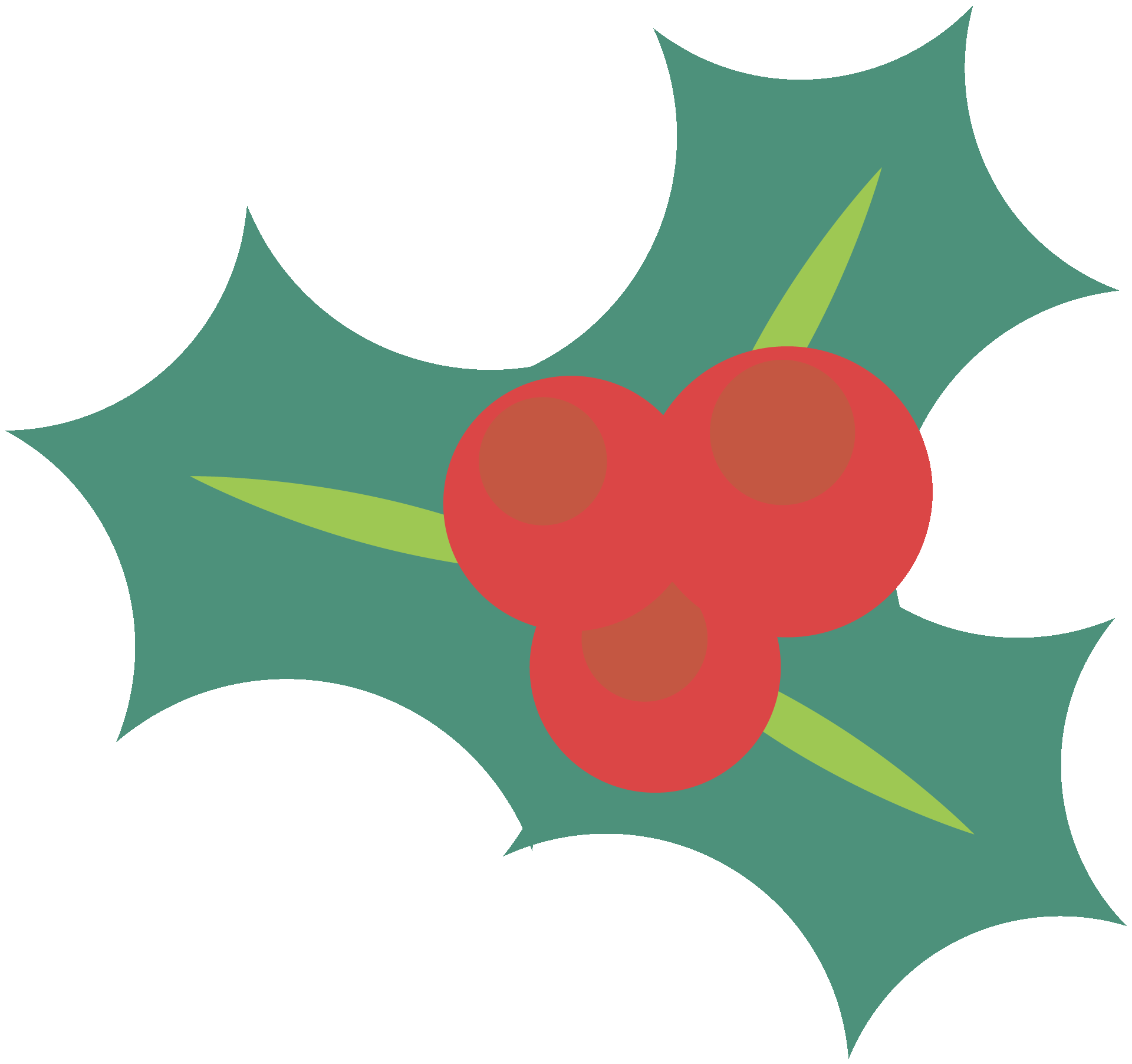 a holly berry with leaves